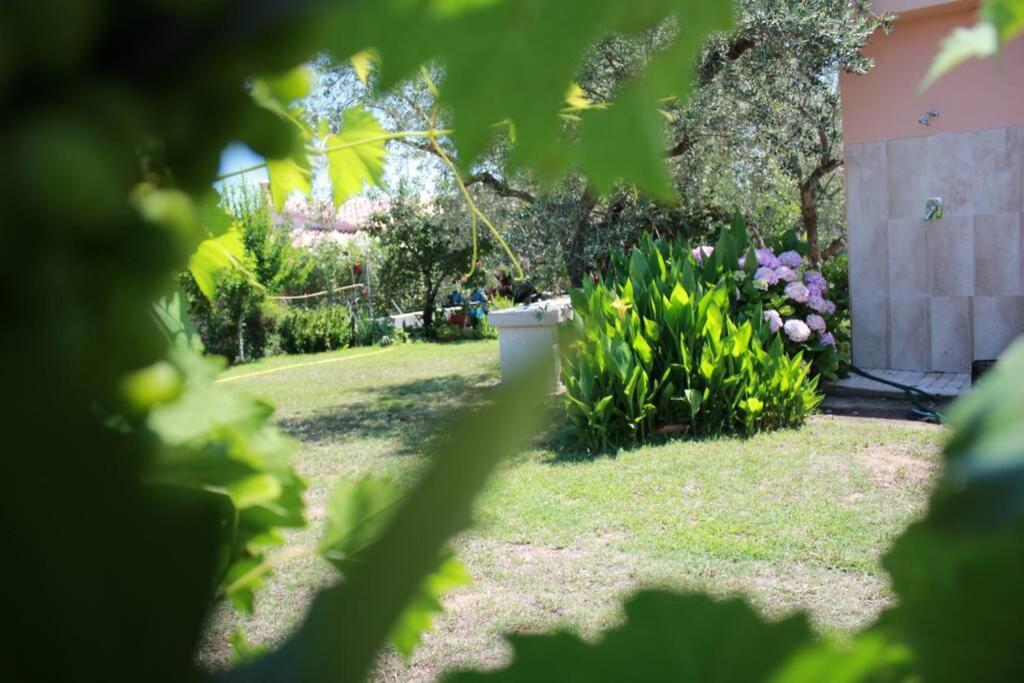 Villa Di Campagna Vicino Al Mare 奥罗塞伊 外观 照片